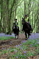 Bluebell ride 2014